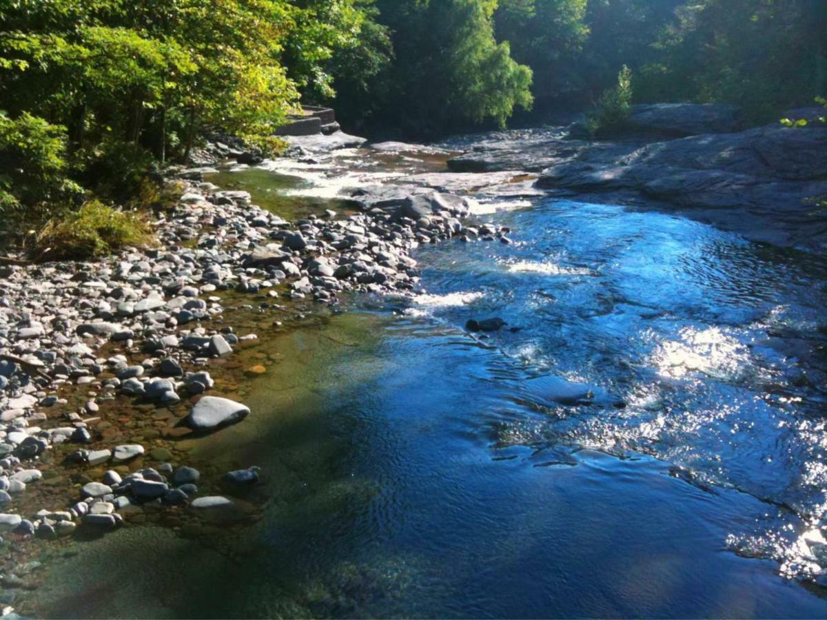 Play All Day - Sleep By The Stream At Night - Swimming Hole Palenville Εξωτερικό φωτογραφία